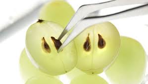 jus-raisin-bio-antioxydant-puissant-naturel-pepin-huile-sec-cure-feuille-pain-vin-peau-cholesterol-vigne (74) L’extrait de pépins de raisin : contre les cellules leucémiques